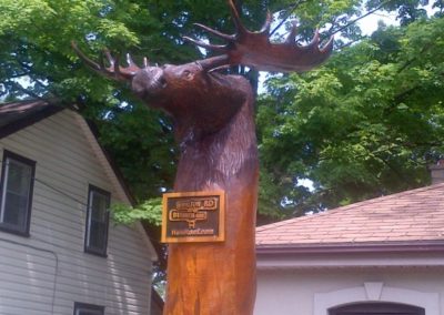 Tree Trunk Tour